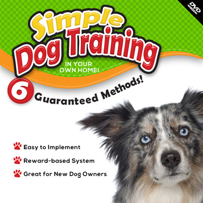 DVD Dog Trainer Design