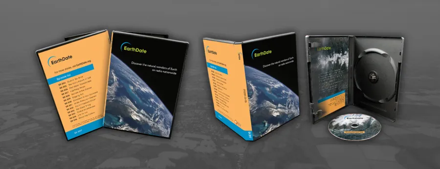 Discs In Black DVD Case With Insert