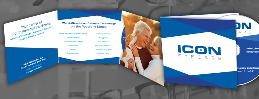 DVDs In 6-Panel Wallets