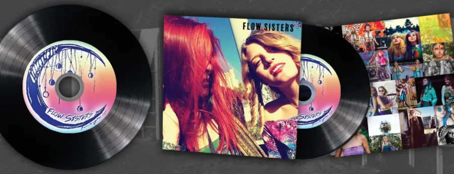 Vinyl CDs in Sleeves