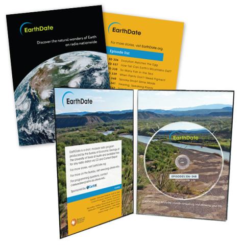 Discs in DVD Digipaks